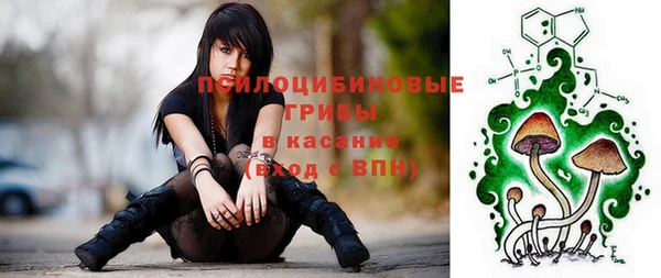 PSILOCYBIN Верхнеуральск