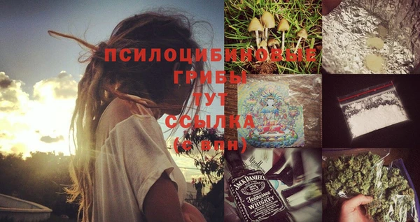 PSILOCYBIN Верхнеуральск